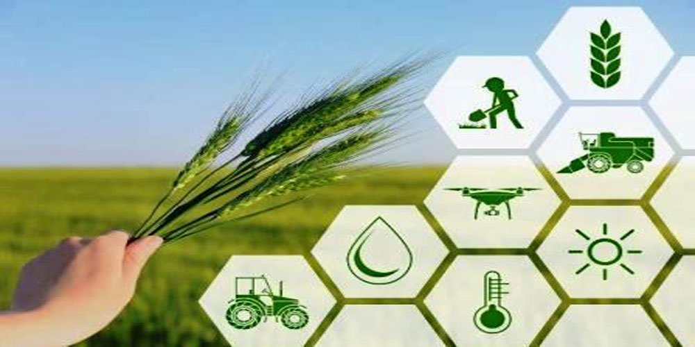 B.E. Or B.Tech in Agricultural Engineering