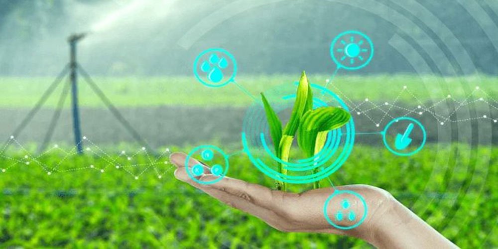 B.E. Or B.Tech in Agricultural Engineering