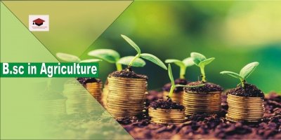 B.Sc. in Agriculture