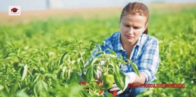 B.E. Or B.Tech in Agricultural Engineering